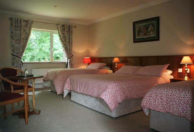 Трехместный Номер Deluxe, Applecroft House