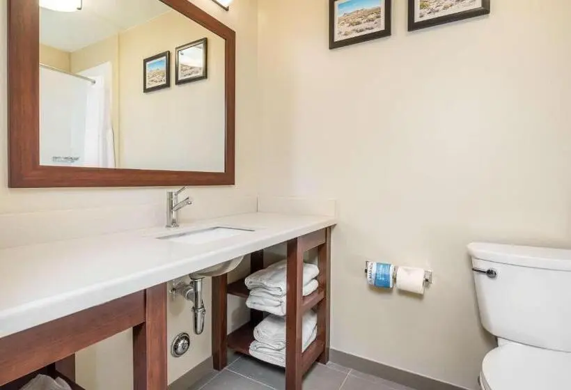 キングサイズベッドのスタンダードルーム, Comfort Inn Tonopah