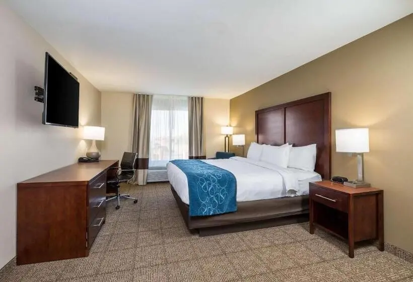 キングサイズベッドのスタンダードルーム, Comfort Inn Tonopah