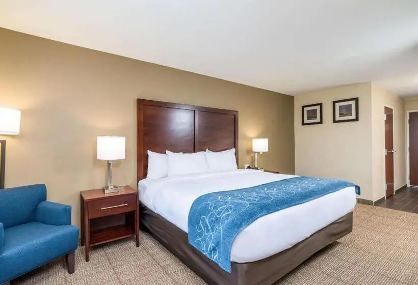 キングサイズベッドのスタンダードルーム, Comfort Inn Tonopah