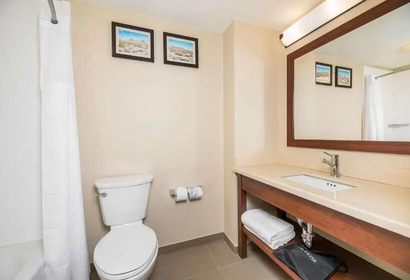 スタンダードルーム, Comfort Inn Tonopah