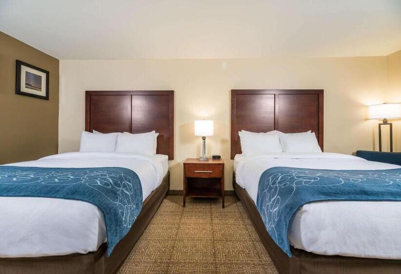 장애인을 위한 스탠다드 룸, Comfort Inn Tonopah
