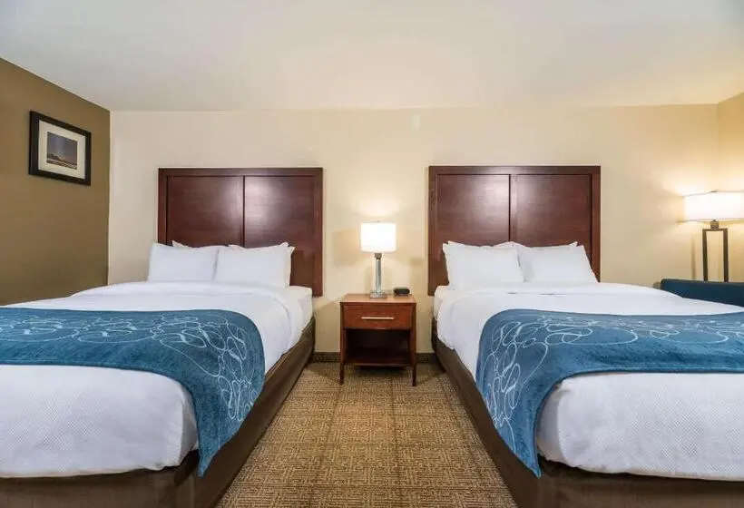 身障者適用スタンダードルーム, Comfort Inn Tonopah
