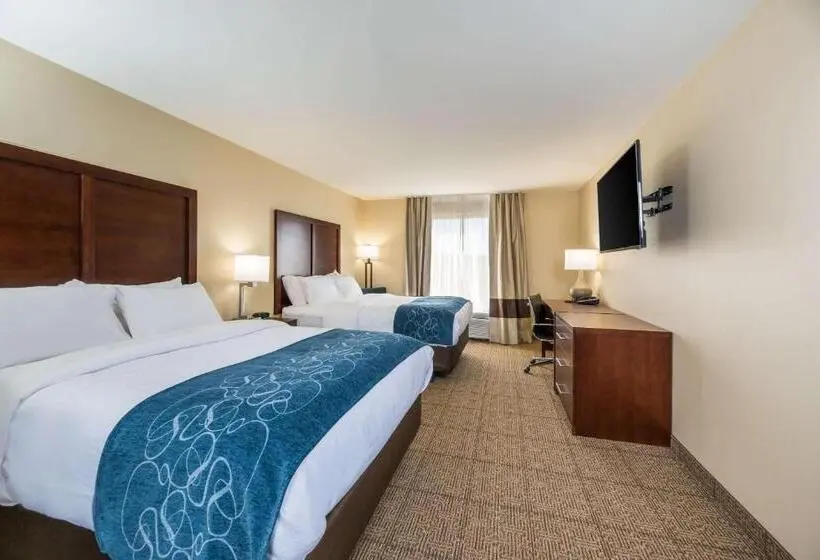 身障者適用スタンダードルーム, Comfort Inn Tonopah