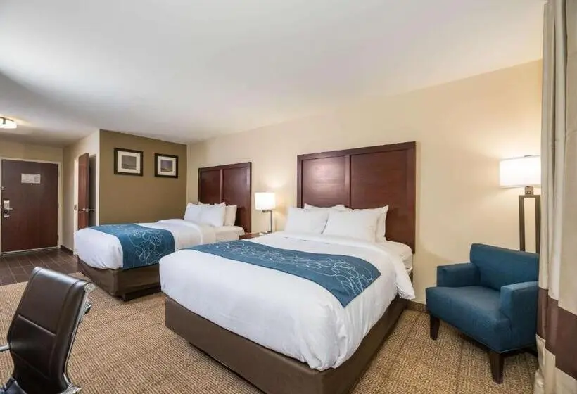 身障者適用スタンダードルーム, Comfort Inn Tonopah