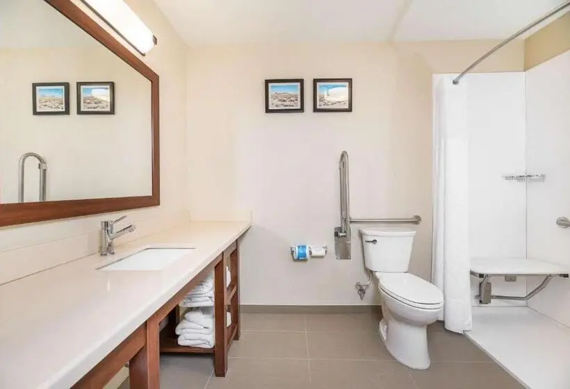 身障者適用キングサイズベッドルーム, Comfort Inn Tonopah