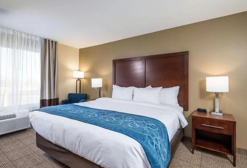 身障者適用キングサイズベッドルーム, Comfort Inn Tonopah