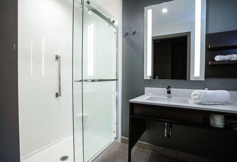 带2个双人床的标准工作室, Hilton Garden Inn West Palm Beach I95 Outlets