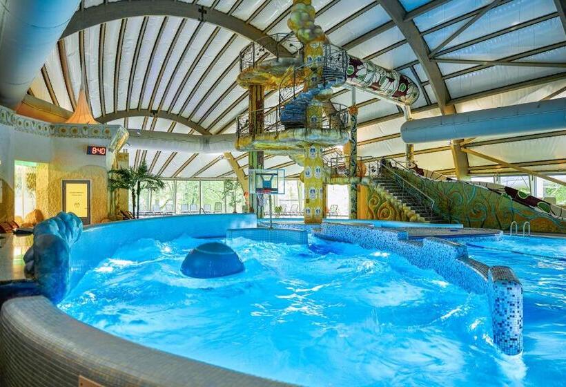 اتاق استاندارد با دسترسی به اسپا, Grand Spa Lietuva Hotel Lietuva