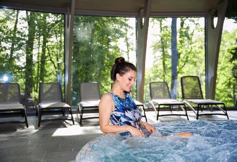 اتاق استاندارد یک نفره, Grand Spa Lietuva Hotel Lietuva