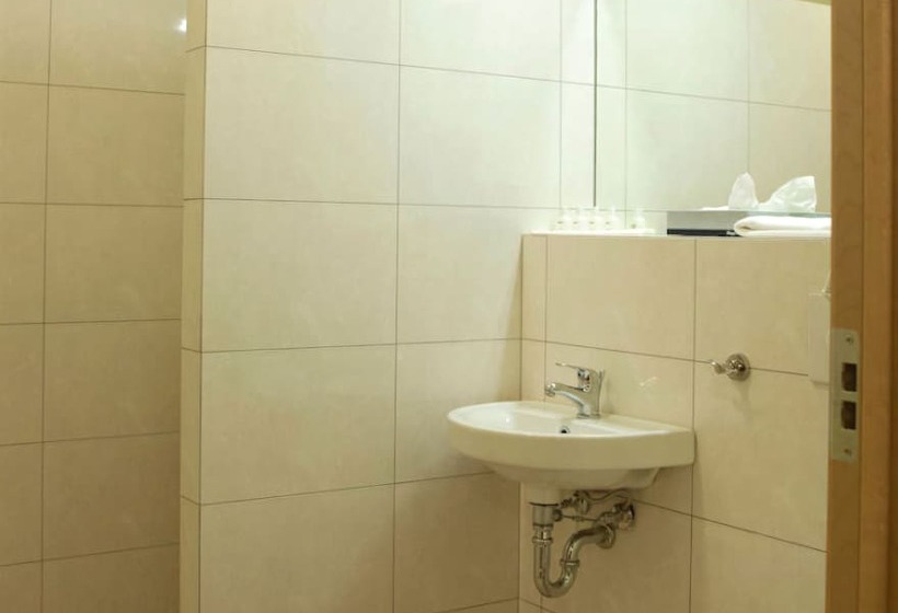 اتاق استاندارد یک نفره, Hallormsstadur