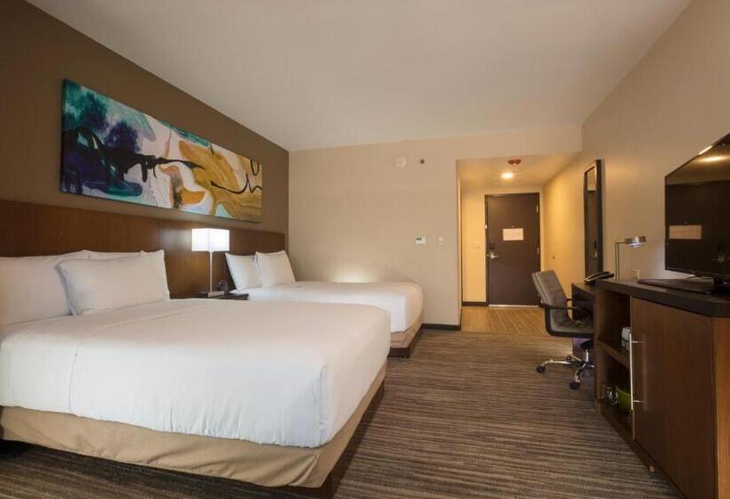 غرفة قياسية, Hyatt Place Aguascalientes Bonaterra