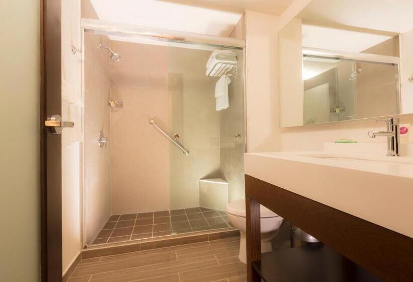 غرفة قياسية لذوى الاحتياجات الخاصة, Hyatt Place Aguascalientes Bonaterra