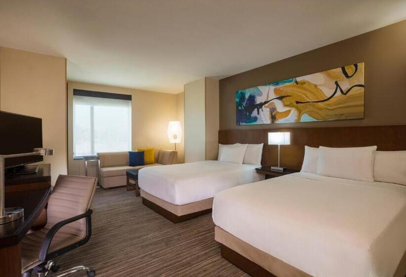 חדר סטנדרט מותאם לאדם עם מוגבלויות, Hyatt Place Aguascalientes Bonaterra