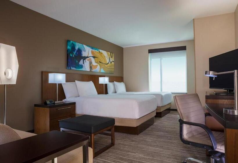 غرفة قياسية لذوى الاحتياجات الخاصة, Hyatt Place Aguascalientes Bonaterra