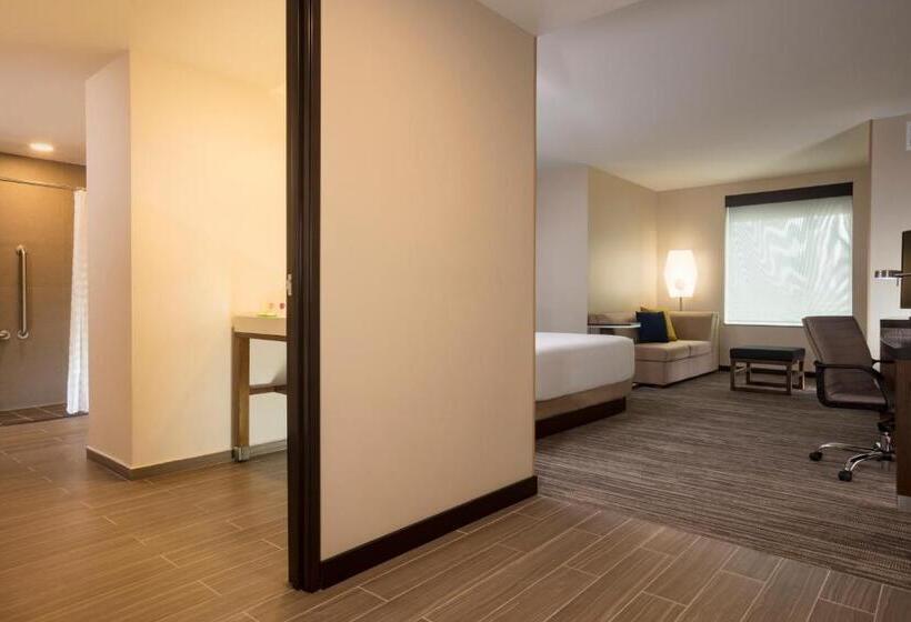 غرفة قياسية سرير كينج, Hyatt Place Aguascalientes Bonaterra