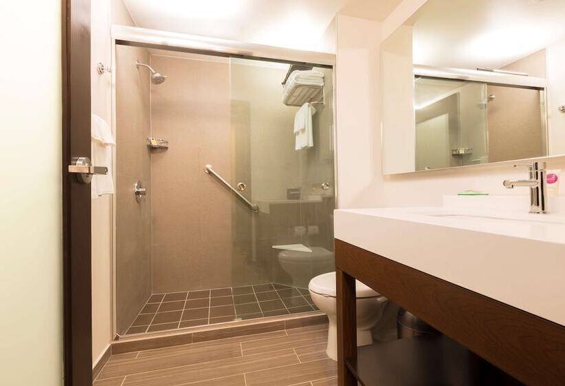 غرفة قياسية لذوى الاحتياجات الخاصة, Hyatt Place Aguascalientes Bonaterra