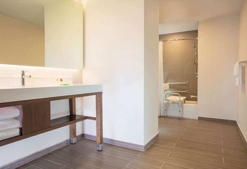 غرفة قياسية لذوى الاحتياجات الخاصة, Hyatt Place Aguascalientes Bonaterra