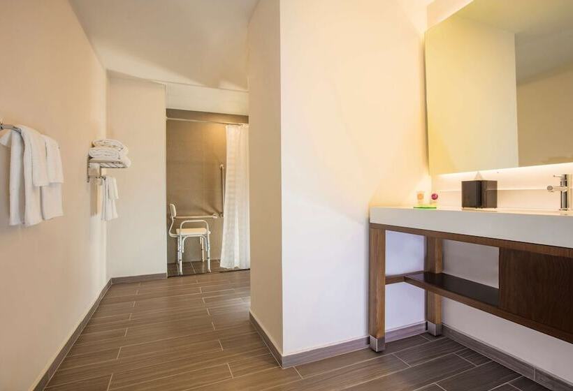 غرفة قياسية لذوى الاحتياجات الخاصة, Hyatt Place Aguascalientes Bonaterra