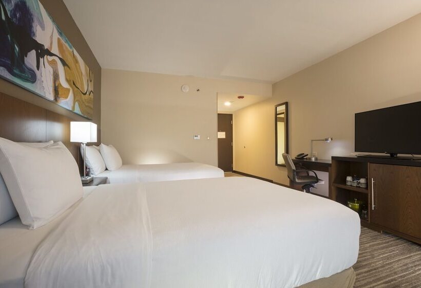 غرفة قياسية, Hyatt Place Aguascalientes Bonaterra