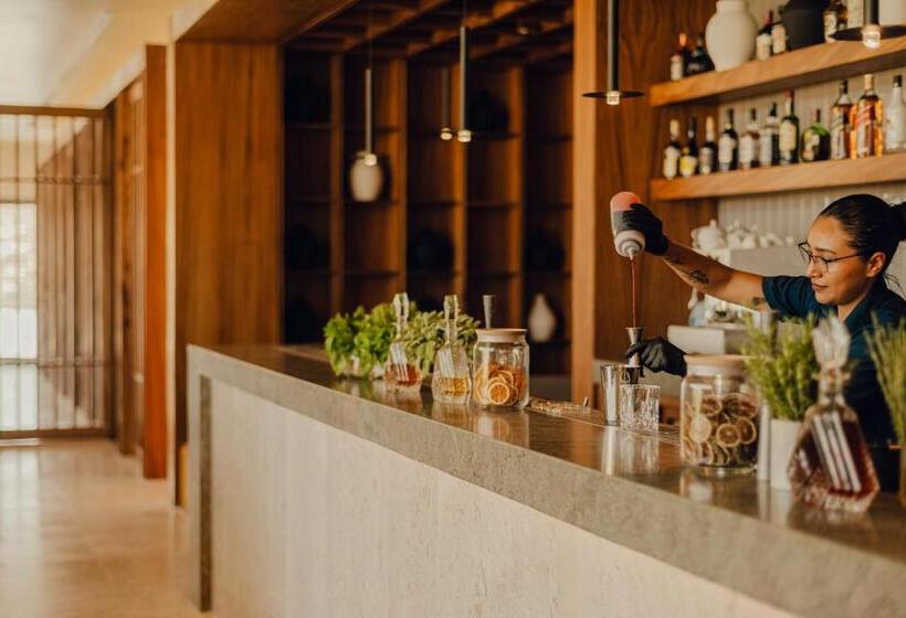 １ベッドルームアパートメント, Nobu Hotel Los Cabos