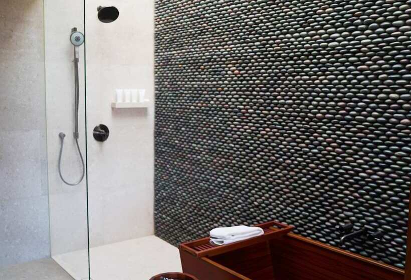 Полулюкс, Nobu Hotel Los Cabos