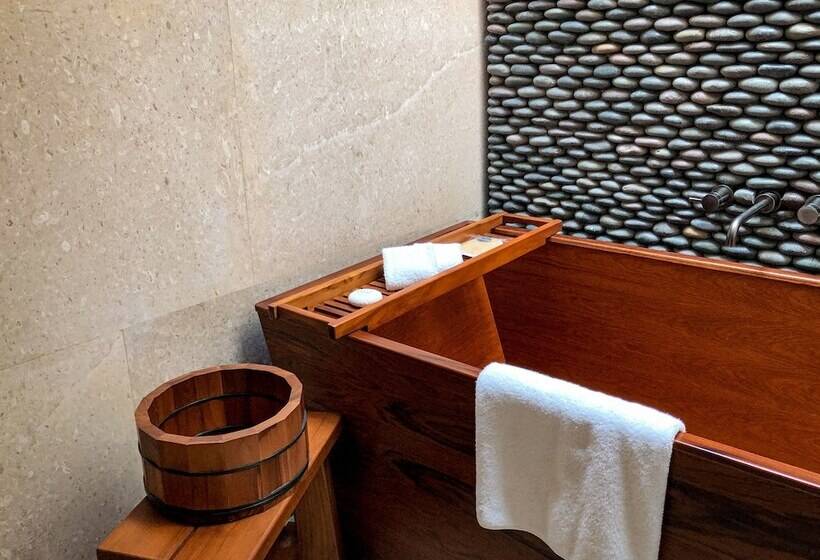 Апартаменты 2 Спальни с Бассейном, Nobu Hotel Los Cabos