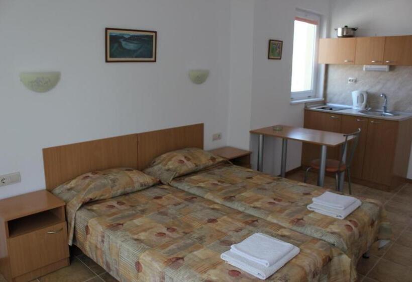 标准工作室, Radik