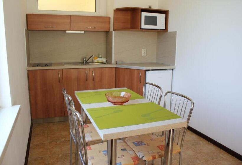 带1个卧室的公寓, Radik