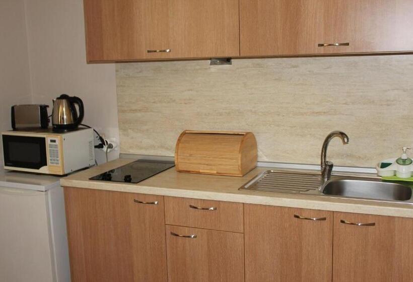 带1个卧室的高级公寓, Radik