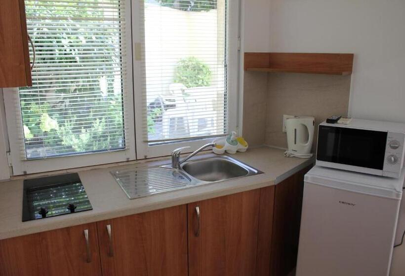 带2个卧室的公寓, Radik