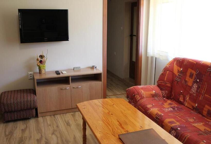 带1个卧室的高级公寓, Radik