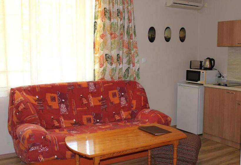 带1个卧室的高级公寓, Radik