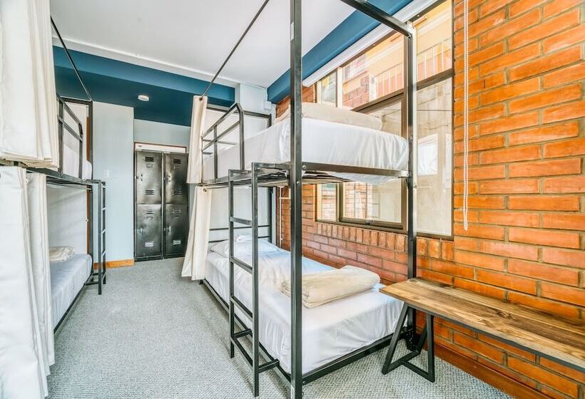 تختخواب در اتاق مشترک, Socialtel La Paz   Formerly Selina La Paz