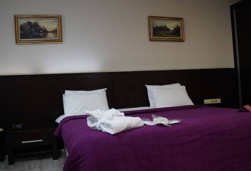 غرفة قياسية, Arsan Otel