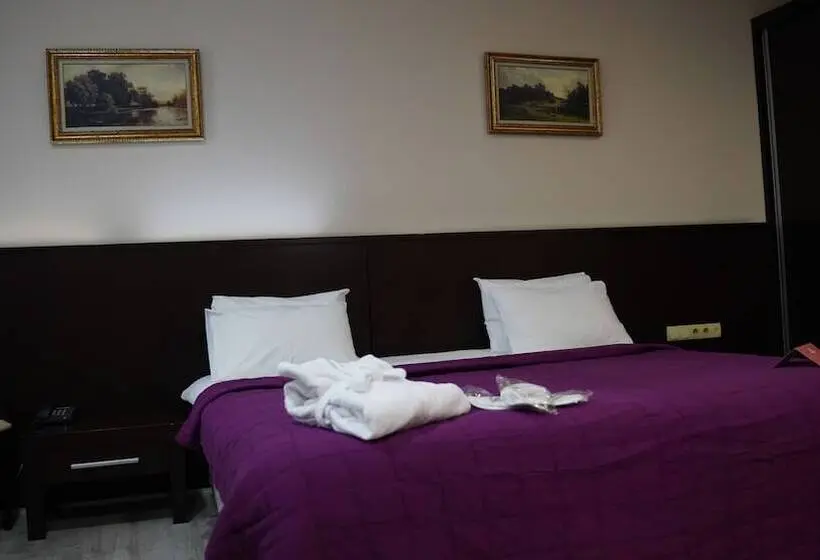 اتاق استاندارد, Arsan Otel