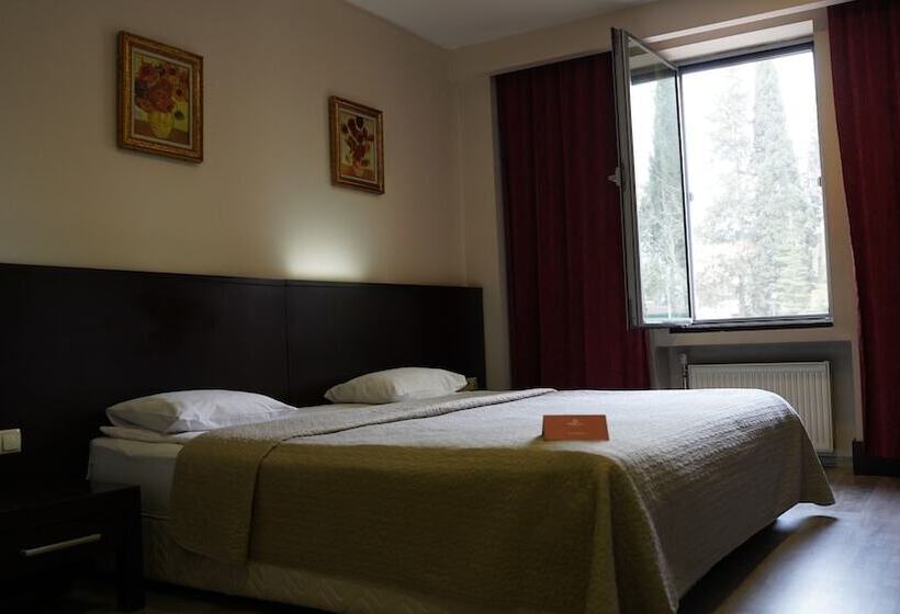 غرفة قياسية, Arsan Otel