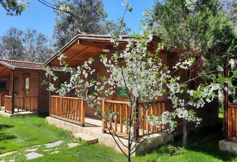 标准平房, Kervan Tatil Köyü