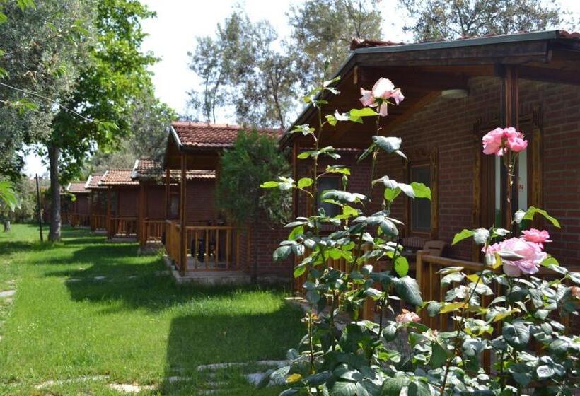 豪华洋房, Kervan Tatil Köyü