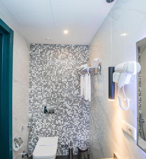 اتاق استاندارد, River View Hotel Tbilisi