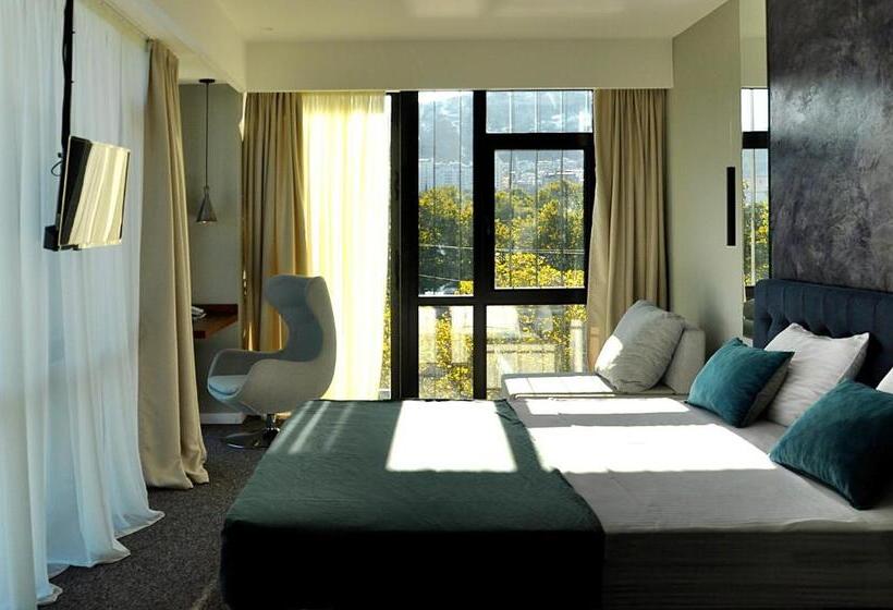 اتاق لوکس, River View Hotel Tbilisi