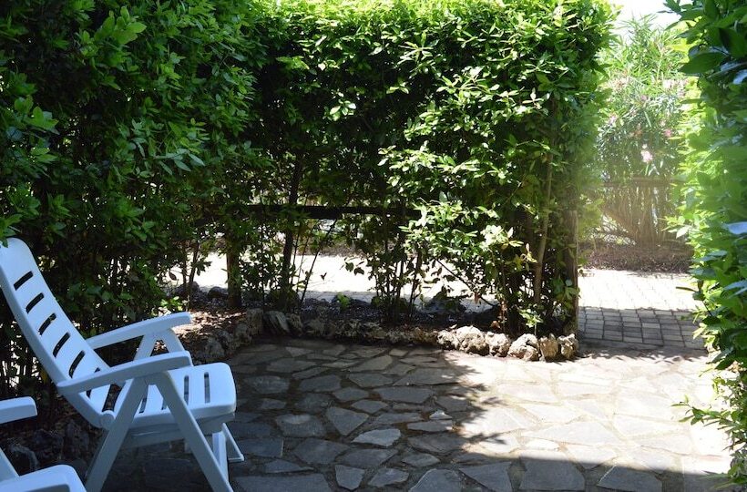 اتاق استاندارد, La Cometa