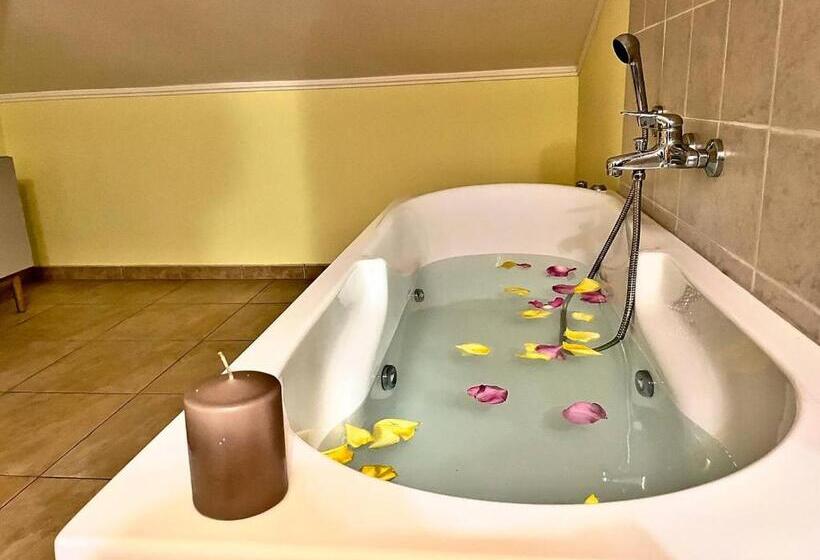 اتاق استاندارد با وان آب گرم, La Cometa