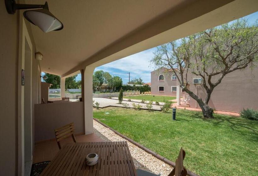 Студия Стандарт, Casa Rosa Montes