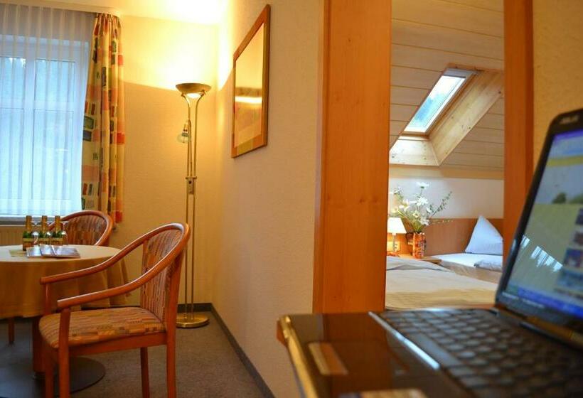 غرفة قياسية, Pension Vier Jahreszeiten