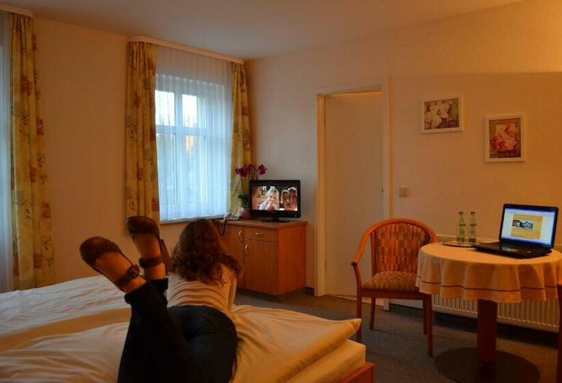 غرفة قياسية, Pension Vier Jahreszeiten