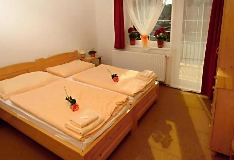 اتاق استاندارد یک نفره, Apartmany Broma