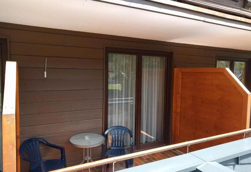 اتاق استاندارد با چشمانداز کوهستان, Gästehaus Steger
