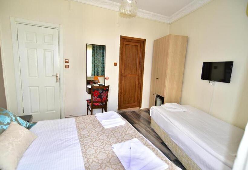 اتاق استاندارد سه نفره, Han