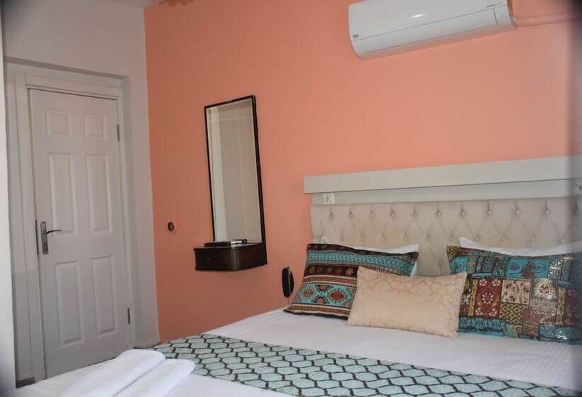 اتاق استاندارد, Han